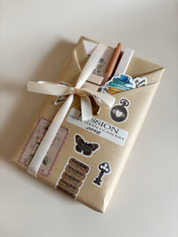 Blind Date with a Book Lover Present for Reading Care Package